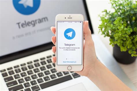 Как добавить новый контакт и настроить уведомления в Telegram