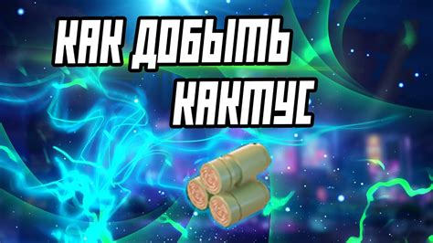 Как добыть кактус