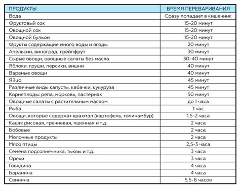 Как долго длится процесс переваривания