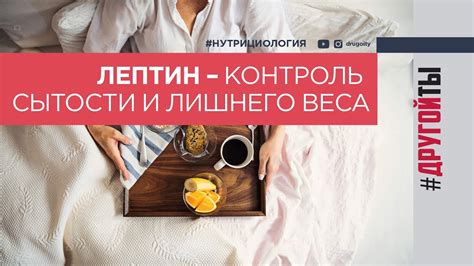 Как достичь чувства сытости: 6 полезных советов