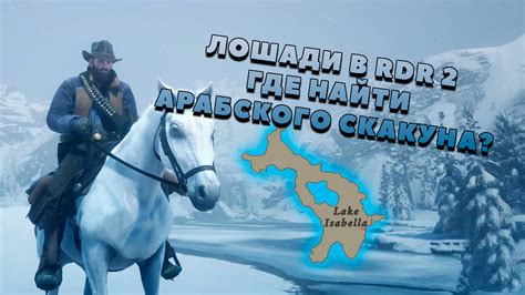 Как закрепить седло на лошади в Red Dead Redemption 2