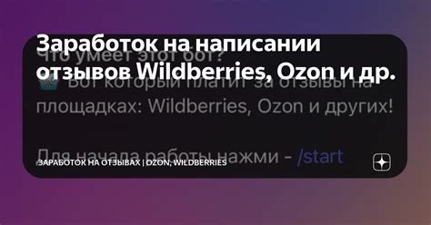 Как заработать на отзывах на Wildberries: узнай все секреты простого и бесплатного заработка