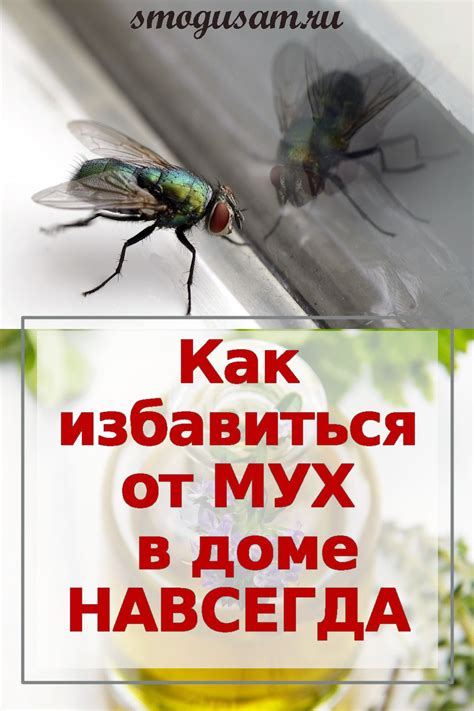 Как защититься от мух