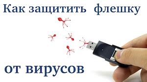 Как защитить свою флешку от вирусов