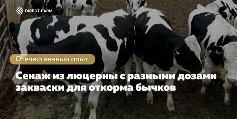 Как избежать нарушений при вывозке бычков с балкона