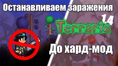 Как избежать попадания багрянца в террариум