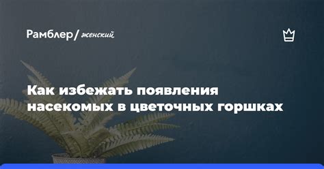 Как избежать появления зеленого уголка