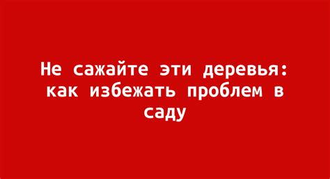 Как избежать языковых проблем в коммуникации