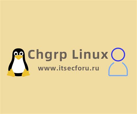 Как изменить группу файла в Linux с помощью команды chgrp