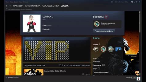 Как изменить свой профиль в Steam: дополнительные возможности