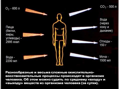 Как измерить ОВП воды в домашних условиях?