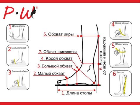 Как измерить длину и ширину стопы