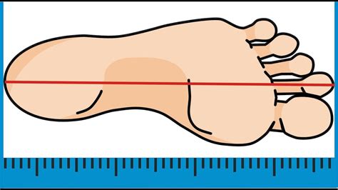 Как измерить длину стопы дома: простые и эффективные методы