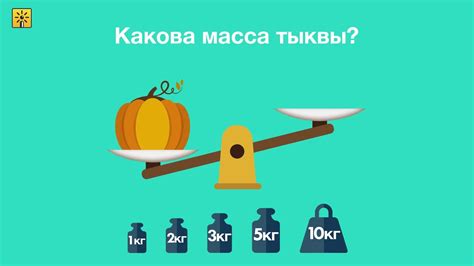 Как измерить массу с помощью весов