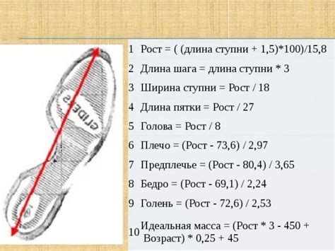 Как измерить размер стопы взрослого человека