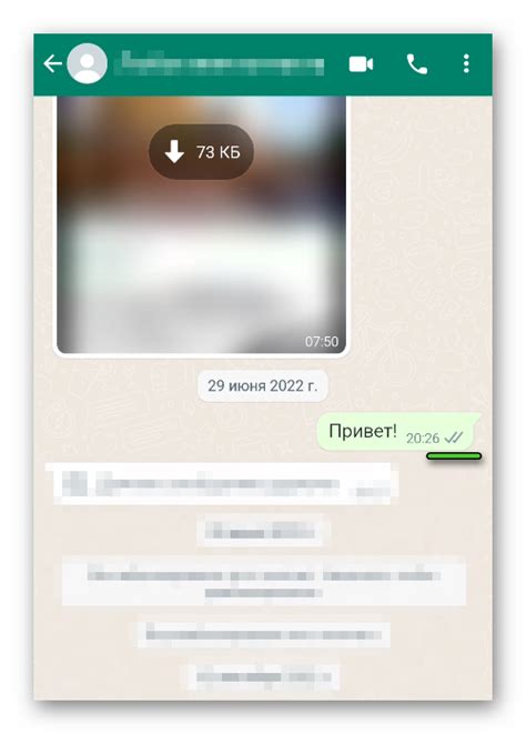 Как использовать галочки в WhatsApp для контроля прочтения сообщений