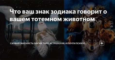 Как использовать знание о своем тотемном животном в повседневной жизни