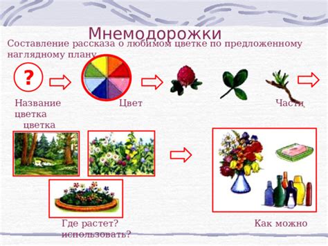 Как использовать информацию о типе цветка