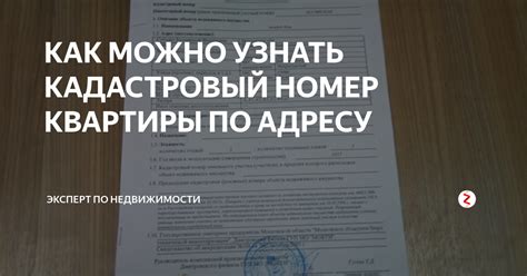 Как использовать кадастровый номер квартиры при покупке недвижимости