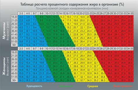 Как использовать калькулятор процента жира в организме для мужчин онлайн