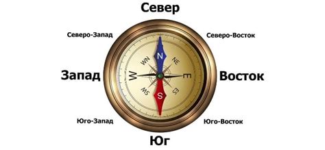 Как использовать магнитный компас для определения направления севера и юга