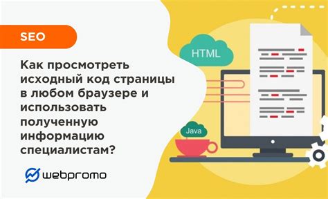 Как использовать полученную информацию о главном бухгалтере