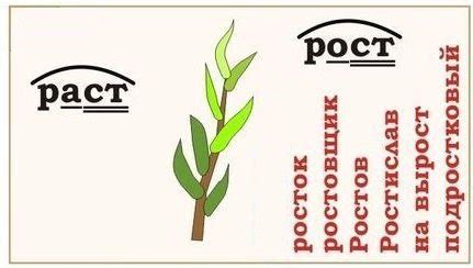 Как использовать слово росток в речи и письме