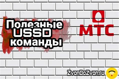 Как использовать USSD-коды для получения информации о номере телефона МТС