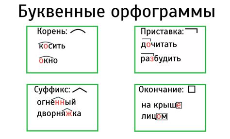 Как исправить ошибки орфограммы в слове соловей