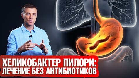 Как кефир помогает лечить хеликобактер: механизм действия и исследования