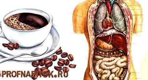 Как кофе влияет на работу кишечника