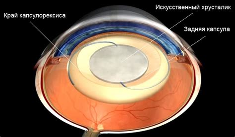 Как лечить слезление левого глаза