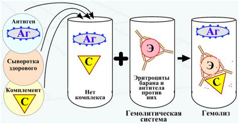 Как лигаза каталитически ускоряет реакции связывания