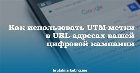 Как ликвидировать проблему мейд он Тильда в подвале