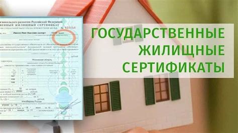 Как максимально упростить и ускорить процесс получения УНП Беларуси