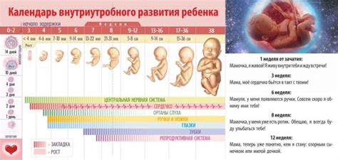 Как минимизировать риск преждевременных родов на 8 месяце беременности