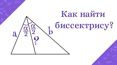 Как найти биссектрису прямоугольника: шаги и алгоритм