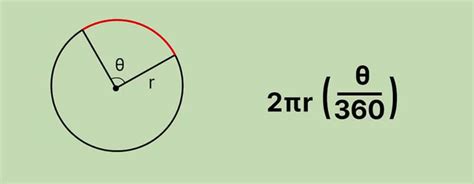 Как найти длину дуги окружности в градусах и радианах