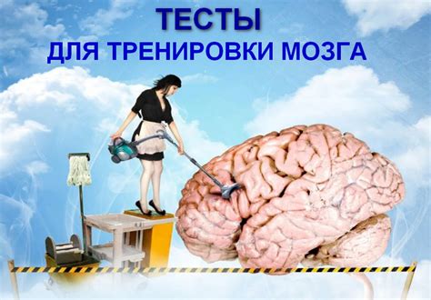 Как найти и использовать качественные тесты для тренировки: