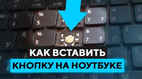 Как найти кнопку "Проверить статус" и нажать на нее?