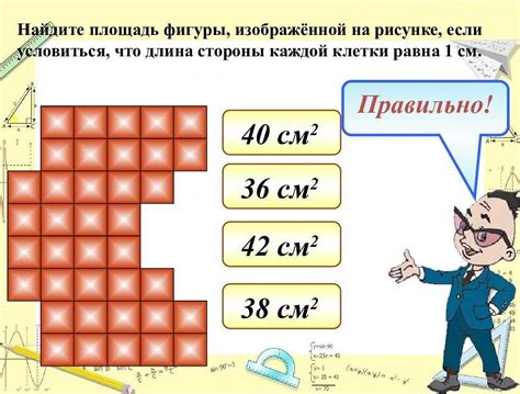 Как найти площадь: простые формулы для третьеклассников