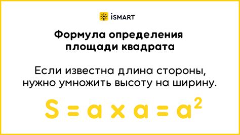 Как найти площадь дробей: подробное руководство