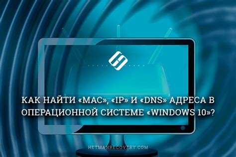 Как найти DNS на Mac?