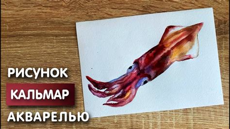 Как нарисовать кальмара