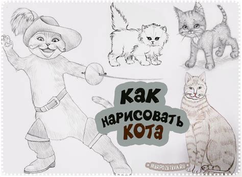 Как нарисовать хвост кота карандашом за несколько шагов