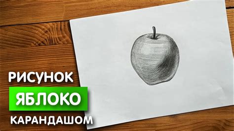 Как нарисовать яблоки карандашом ребенку