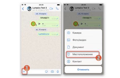 Как настроить геолокацию в WhatsApp: пошаговая инструкция