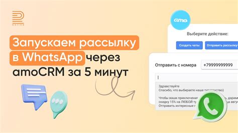 Как настроить рассылку в WhatsApp за 5 минут