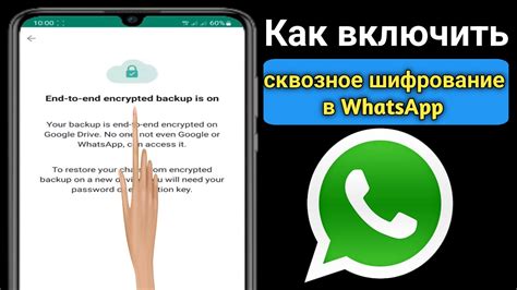 Как настроить сквозное шифрование на WhatsApp