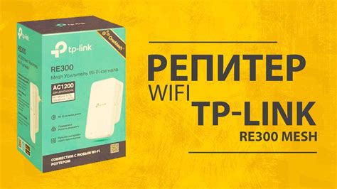 Как настроить флешку TP-Link: подробная инструкция